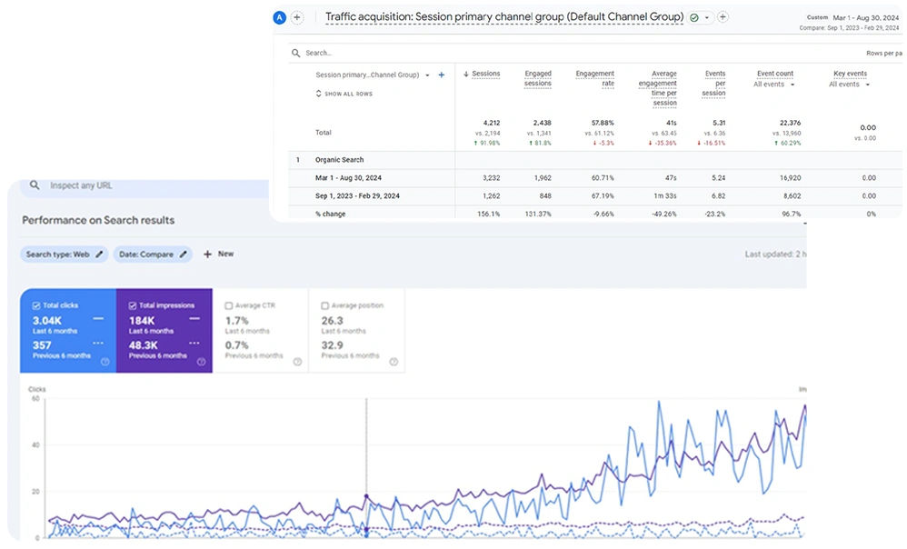 SEO Case study by Wolford Marketing